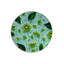 Tapis décoratif moderne vert à motif de feuilles et de kiwis Green Tones