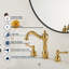 2-handle Bathroom Faucet with Drain Assembly-98084937