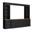 Console média arquée noire, meuble télé 106 pouces et unité de divertissement, rangement polyvalent avec tablettes ouvertes à grain de bois à ouverture lisse, fonctionnel pour le salon, bien conçu-1145793759