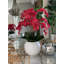 Phalaenopsis Orchid Floral Arrangement in Pot-1766237183