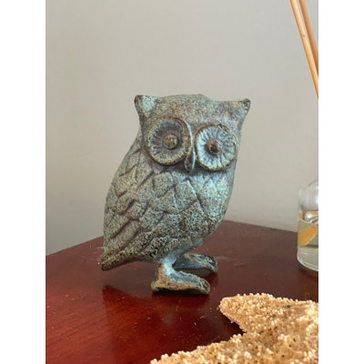 Hibou de Guglielmini