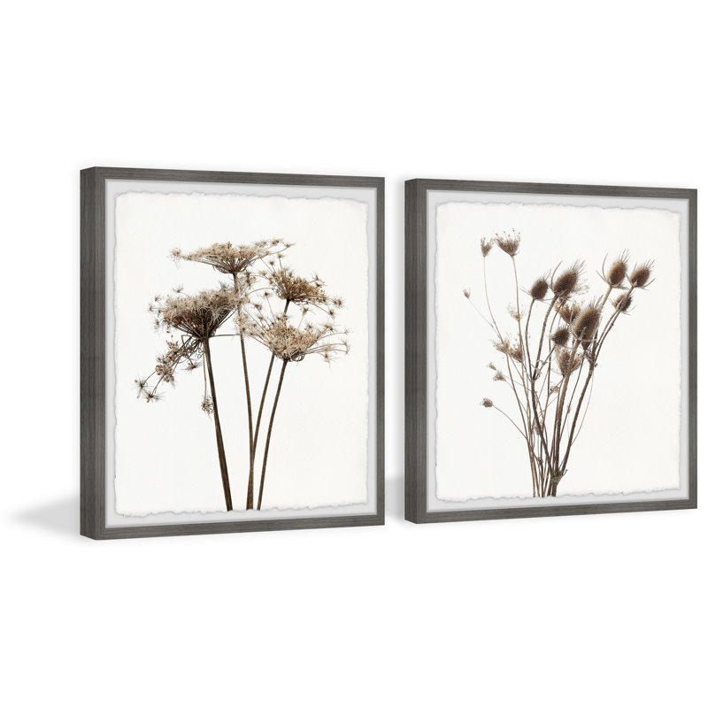 Dried Out Dandelion by Marmont Hill - 2 Piece Single Picture Frame Painting Set, 61" H x 61" W x 3.81" D