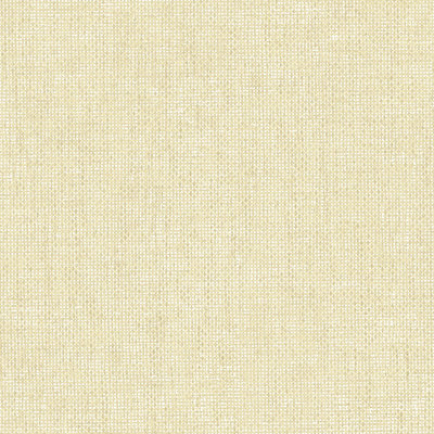 Italian Textures 4 Intreccio Congo Wallpaper