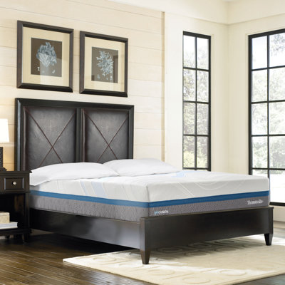 Adamstown 14'' Medium Gel Memory Foam Mattress
