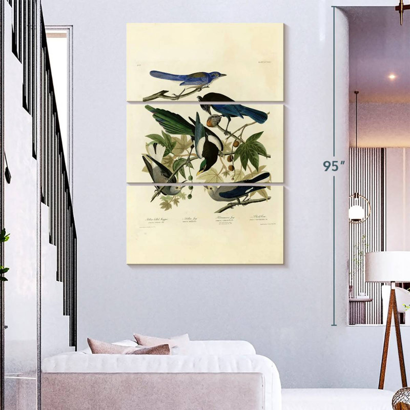 Assiette Brampt 362 d'oiseaux d'Amérique, H 57 po x l 36 po