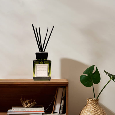 Oud  Bergamot Reed Diffuser LongLasting Fragrance Air Freshener Diffuser Hotel Collection Diffuser Oil
