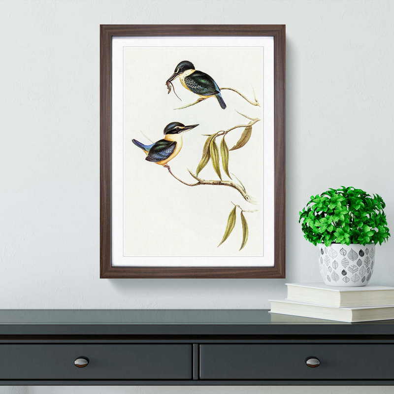 Sacred Halcyon Kingfishers by Elizabeth Gould - Picture Frame Painting Print, 48cm H x 36cm W x 2cm D, Walnut Framed