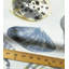 Persea Fabric