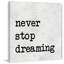 Never Stop Dreaming IV - Wrapped Canvas Print-35613331