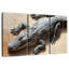 Alligator-620003484