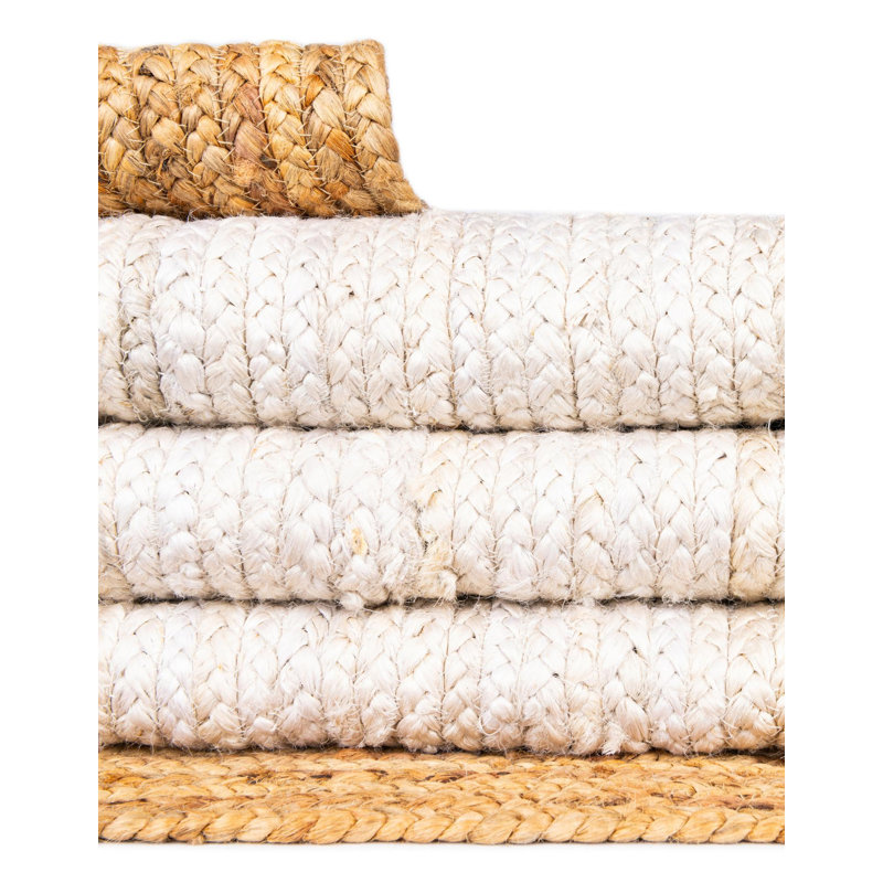 Swarthout Hand Braided Indoor Rug, Rectangle 2' x 3'1"