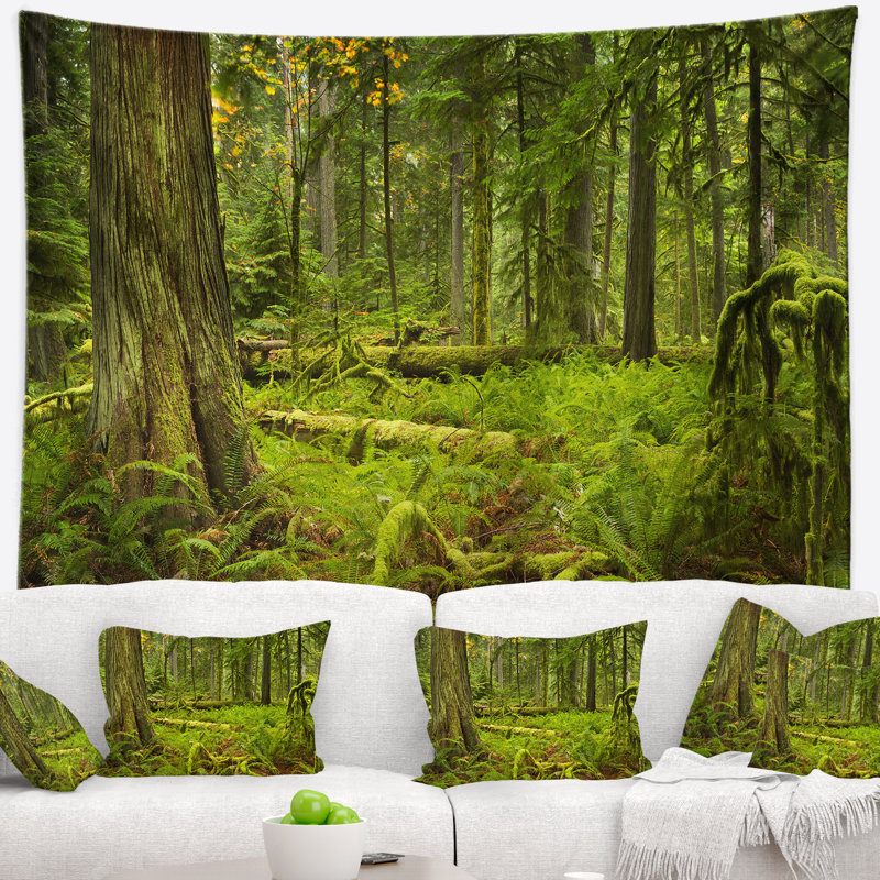 Paysage avec forêt tropicale luxuriante et cathédrale Grove, H 78 po x l 92 po