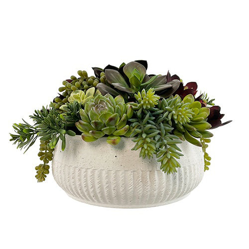 12" Succulent Arrangement