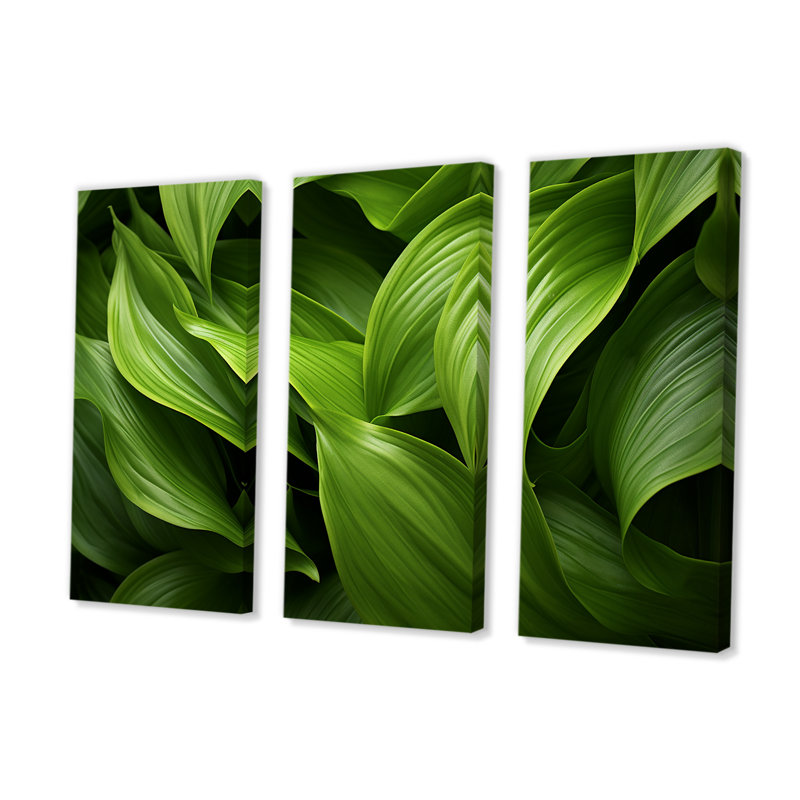 Ensemble de décoration murale Greenerys Gaze I - Plantes, Toile tendue, H 32 po x l 48 po x P 1 po