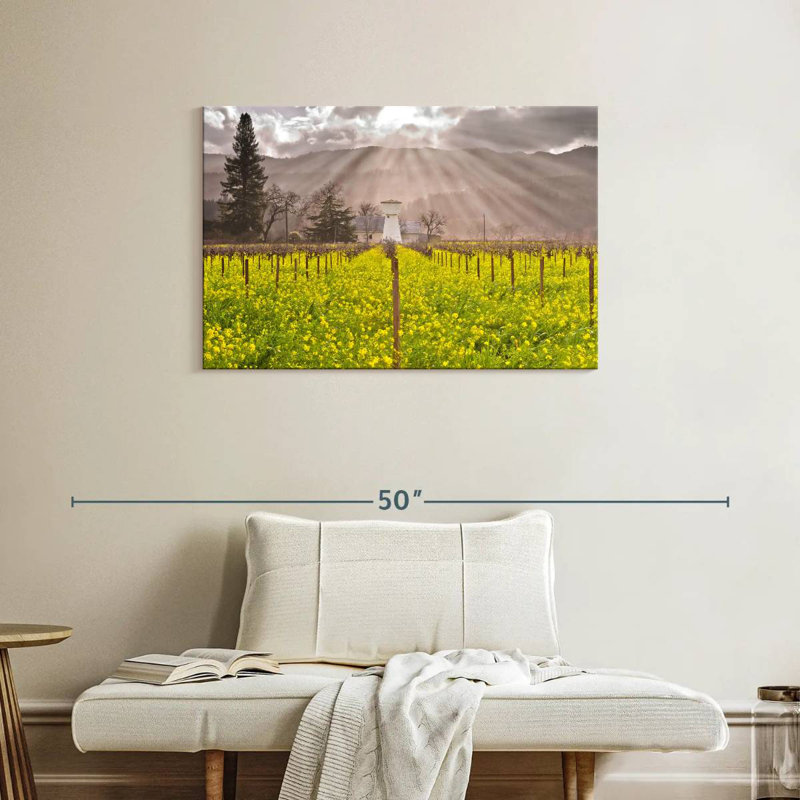Vignes de Napa Valley, H 24 po x l 36 po