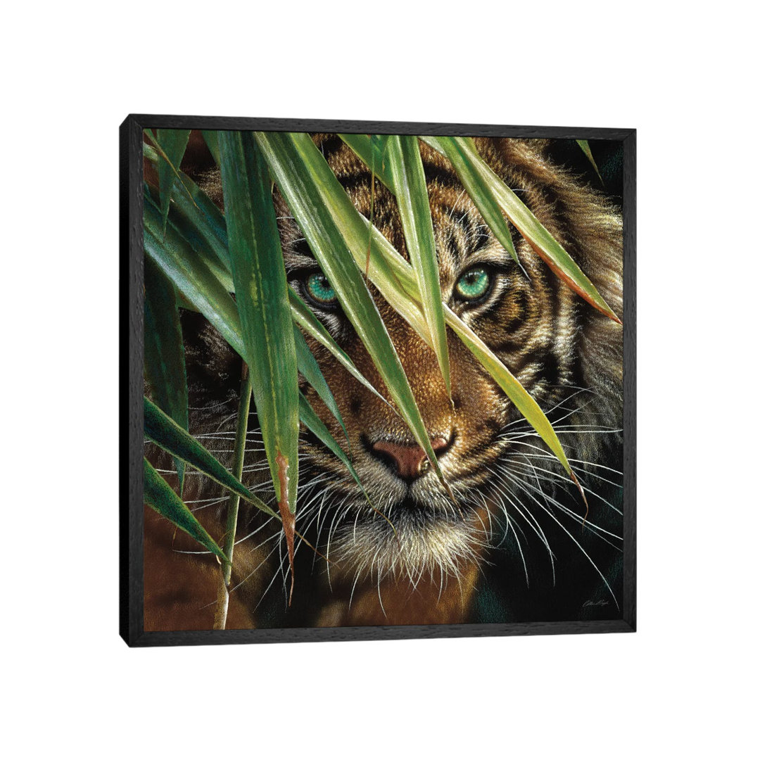 Tiger Eyes by Collin Bogle - Wrapped Canvas Print