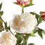 PEONY BRANCH 31 pouces-1808992883
