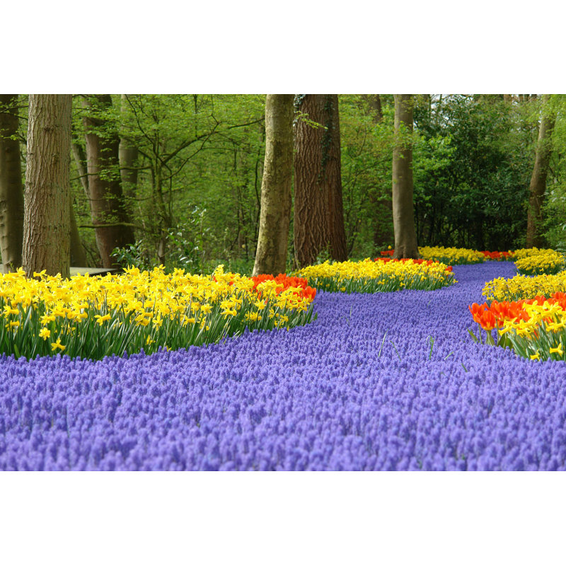 Fleurs printanières par Sborisov - Photographie sur toile tendue, L 30 po x H 20 po