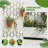 Fern 72 in. H x 35 in. W Planter Box