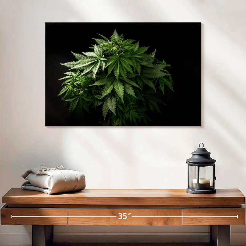 Grappe de marijuana Senne, H 8 po x l 12 po