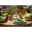 Herman Dessert Plate - Lime - 9.1"-235636899