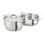 All-Clad Specialty 5 Qt. Steamer Pot with Lid