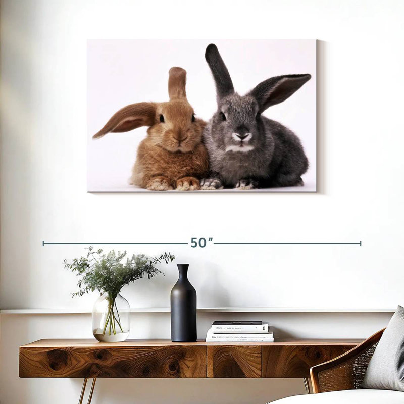 Lapins bruns et gris, H 24 po x l 36 po