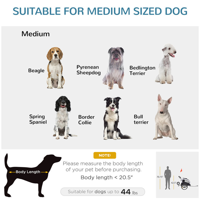 Poussette 2 en 1 avec auvent et poches de rangement pour chien Aosom