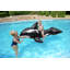 Jumbo Whale Ride On