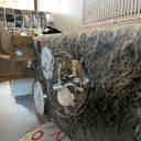 Trent Austin Design® Rakestraw 12.2'' Flush Mount Caged Ceiling Fan ...