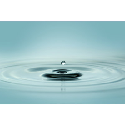 Water Droplet by ClaudioVentrella - Wrapped Canvas Print