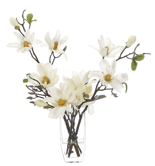 Magnolia Floral Arrangement in Jar