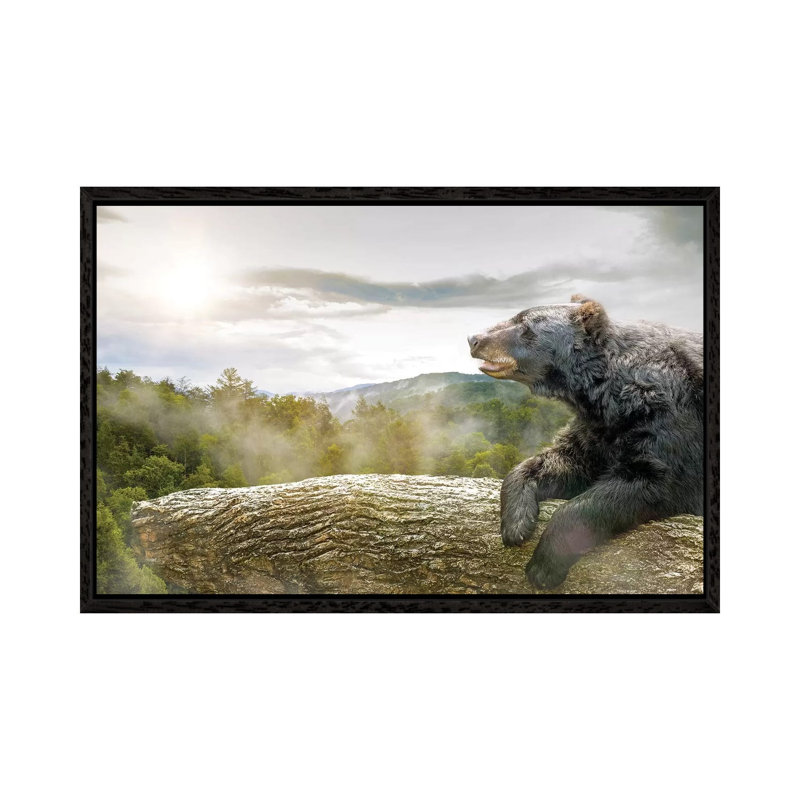Bear In Tree At Smoky Mountains Park by Susan Schmitz - Print on Canvas, Black Framed, 66.04 cm H x 45.72 cm W