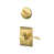 Bright Brass is out of stock