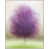 White Framed Canvas