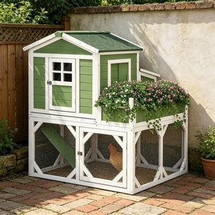 Petit poulailler avec cage de jardin