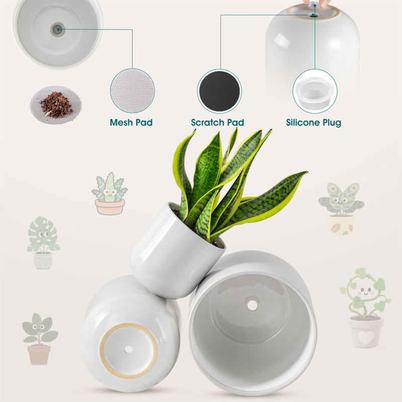 HDHPOT Ceramic Pot Planter