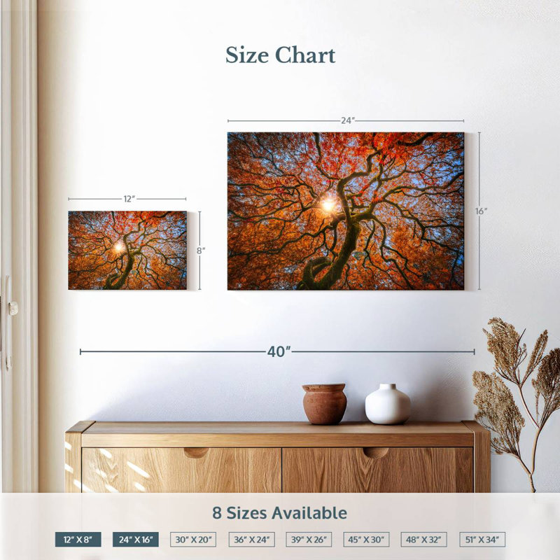 Harnek Japanese Maple Tree, 16" H x 24" W
