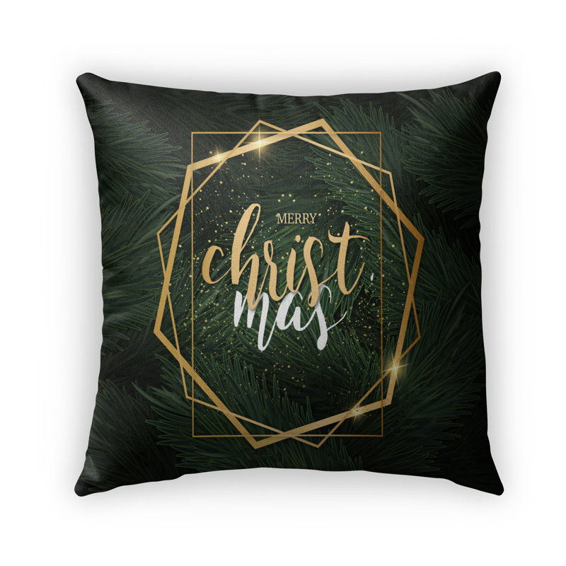 Celyn Outdoor Throw Pillow, 16" x 16"