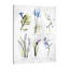Vast Botanicals - Wrapped Canvas Print-751333714