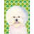 Bichon frisé 2