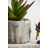 Shirehampton Concrete Accent Stool