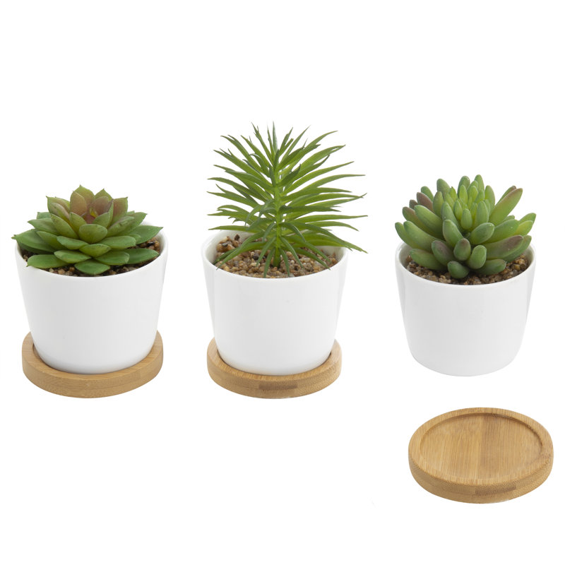 15cm Faux Succulent Plant in Ceramic Pot