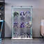 Display Cabinet-703793780