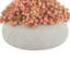 Rizal Faux Sedum Plant in Fiberstone Pot