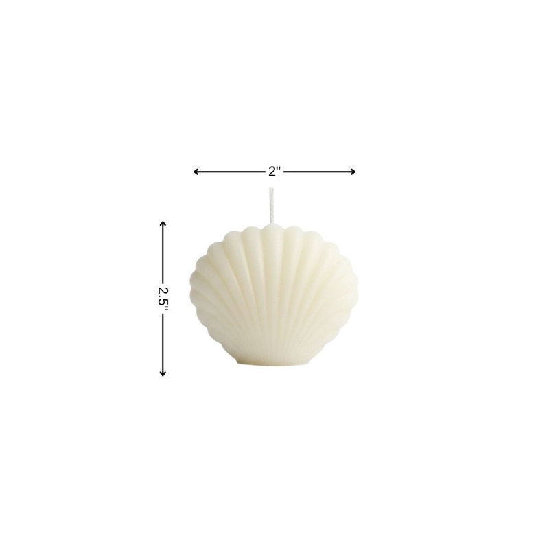 Bougie de coquillage dimensionnelle 3 "ivoire Hibiscus