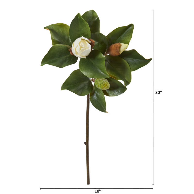 Magnolia Arrangement