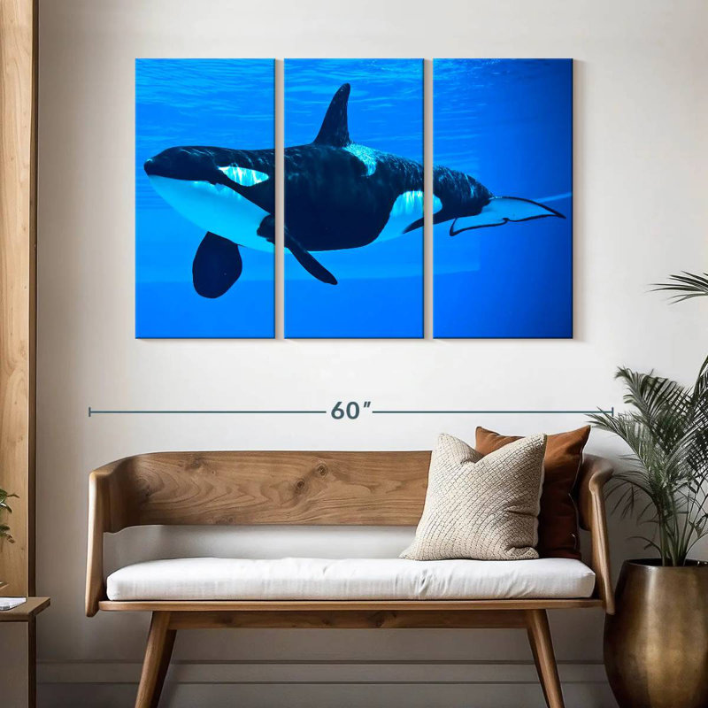 Brampt Friendly Killer Whale, 32" H x 50" W