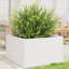 2 Wood Planter-100491928-100491938