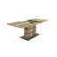 Fauzia Extendable Dining Table-2030122445